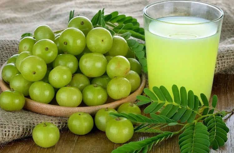 How Does Amla Really Improve Immunity?