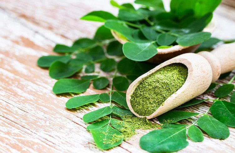 Organic Moringa Powder : Health Benefits and How to Use?
